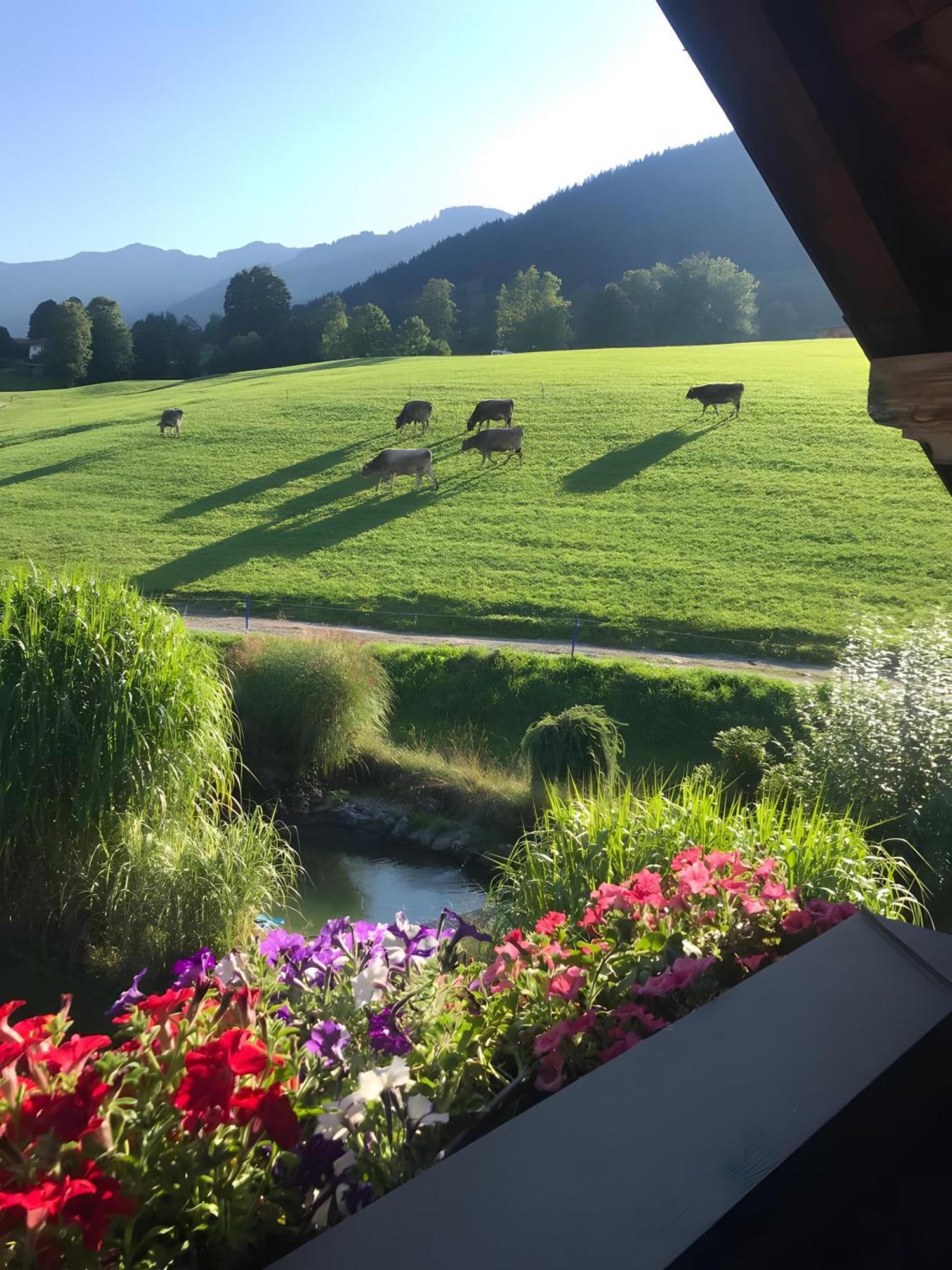 Ferienwohnung Langeck Maria Alm am Steinernen Meer Exterior photo
